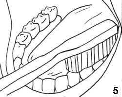 drawing five of brushing teeth