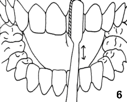 drawing six of brushing teeth